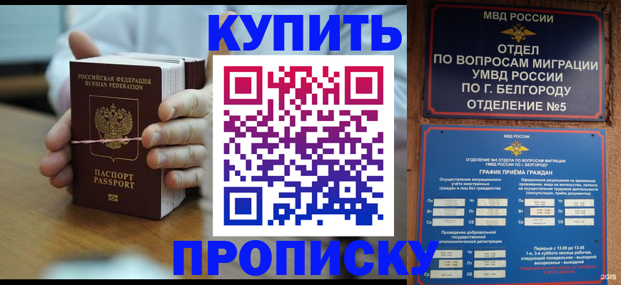 прописка для работы в Владимире